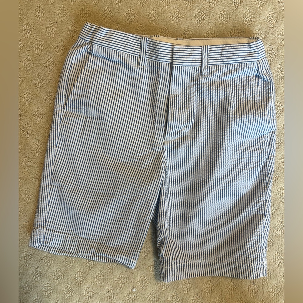 Crewcuts Boy’s Striped Blue and White Shorts